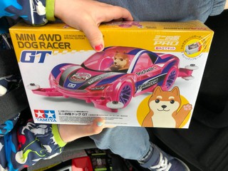 Dog Racer